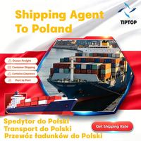 Agente de envío Polonia Mar Envío Puerto de Gdynia Forwarder Envío de carga Agente de Envío Expreso Almacenamiento