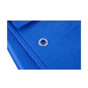 <span class=keywords><strong>Bâche</strong></span> en plastique imperméable bleue et blanche <span class=keywords><strong>4x4</strong></span>, <span class=keywords><strong>bâche</strong></span> de protection extérieure - Product Image 1