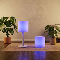 Lampe sur pied, lampe de table, énergie solaire, lumière blanc chaud, commande par interrupteur, design contemporain, matériau PVC, utilisation en jardin