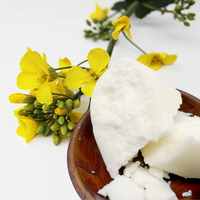 Mélange de cire de colza 100% naturelle pour bougies en contenants, blocs blancs de 20 kg