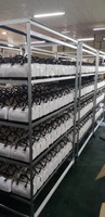 2026 Zomer Hot-selling PVC Rits Sluiting Jelly Schoudertas Handtas Emmertje Macaron Europese Amerikaanse Stijl Modieus