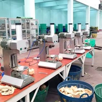 Éplucheur de noix de coco léger portatif de machine de décorticage de noix de coco pour l'usage de ménage et de petite entreprise