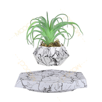 Pot de plante lévitant, décoration d'intérieur, bonsaï, jardinières suspendues, pot de fleurs magnétique flottant pour petites plantes