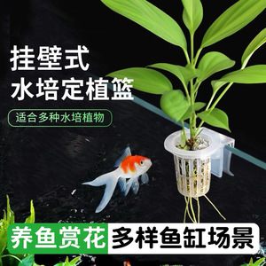 <b>Wall</b> <b>Mounted</b> Hydroponic Planting Basket Soilless Cultivation Planter Root Fixing Device For Aquatic <b>Plants</b> - Product Image 2