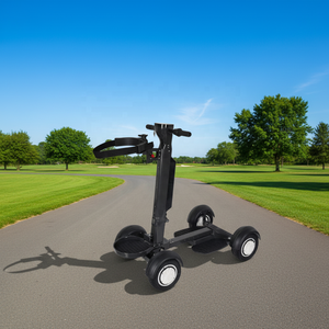 Voiturette de <span class=keywords><strong>golf</strong></span> électrique, nouveau produit, scooter de mobilité à 4 roues avec double transmission, <span class=keywords><strong>chariot</strong></span>, tension de batterie 48V - Product Image 6
