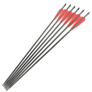 <span class=keywords><strong>Lanceur</strong></span> d'arrows rapide Yi Wu, 6 flèches, dispositif de tir continu pour arc composé avec laser - Product Image 4