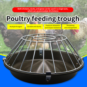 Alimentador <span class=keywords><strong>de</strong></span> <span class=keywords><strong>pollitos</strong></span> <span class=keywords><strong>de</strong></span> plástico y <span class=keywords><strong>bebedero</strong></span> <span class=keywords><strong>de</strong></span> <span class=keywords><strong>pollitos</strong></span>, comedero <span class=keywords><strong>de</strong></span> pollos y <span class=keywords><strong>bebedero</strong></span> <span class=keywords><strong>de</strong></span> pollos colgante - Product Image 4