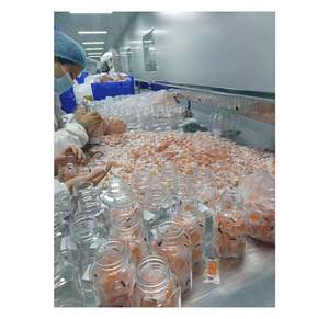 Suplemen Energi Permen Kunyah Kreatin Grosir untuk Pembentukan Otot, Permen Kunyah Kreatin Monohidrat dengan L-Taurin Alpha <span class=keywords><strong>GPC</strong></span> - Product Image 6