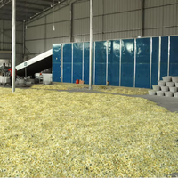 Automatische turnkey hoog-efficiënte stoomgas verwarmingsmachine voor het drogen van groenten, fruit, uien, knoflook en peper.