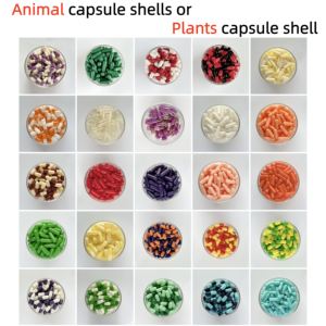 Capsules de fruits et légumes OEM/ODM avec vitamines et minéraux pour renforcer l'immunité, complément de fibres alimentaires pour adultes et enfants - Product Image 5