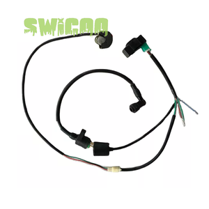 Ensemble de <span class=keywords><strong>faisceau</strong></span> de câbles de haute qualité avec bobine d'allumage CDI pour 50cc 110cc 125cc ATV PIT Dirt Bike Essential Motorcycle Body Systems - Product Image 3