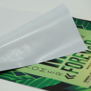 กระดาษ<span class=keywords><strong>โปสเตอร์</strong></span>เคลือบผิวสำหรับพิมพ์อิงค์เจ็ทแบบกันน้ำ เคลือบด้าน สำหรับพิมพ์ภาพถ่ายและโปสเตอร์ - Product Image 5