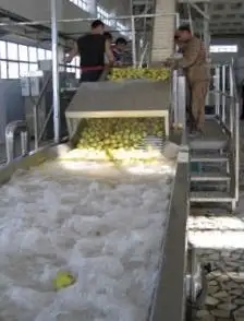Dispositivo per la pulizia della frutta macchina per la pulizia della frutta arancione