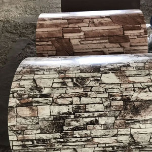 Bobina de acero Gi prepintada de bobina Ppgi de bajo precio/Ppgi/hoja de techo de acero Ppgi recubierta de Color RAL 1013 para construcción - Product Image 2