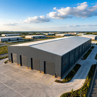 Structure en acier pour atelier de réparation automobile et de stockage de véhicules, porte large, espace élevé pour les véhicules et les travaux de réparation