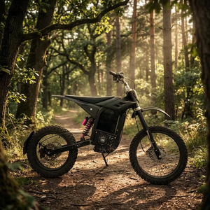 Moteur central 48V 2600W, couple 141Nm, moto tout-terrain, vélo électrique tout-terrain - Product Image 3