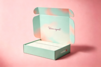 Cajas de Correo con Logotipo Personalizado Impreso en Color Bronceado, Cajas de Cartón para Aviones, Embalaje de Papel con Protección UV, Forradas con Esponja, Ecológicas, Venta al Por Mayor