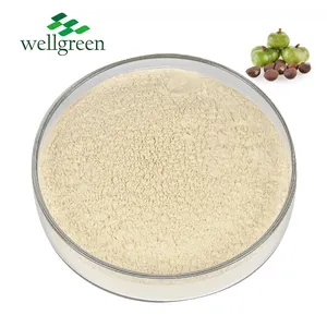 Bulk Puur Natuurlijke Camellia Oleifera Zaad Extract 60% Thee Saponine Poeder