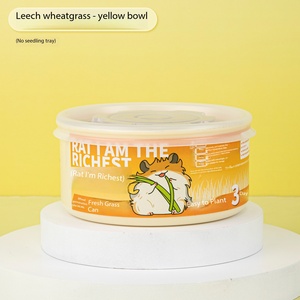 <span class=keywords><strong>Semillas</strong></span> <span class=keywords><strong>de</strong></span> Trigo Especiales para Hámster Sirio, Granos Germinados Hidropónicos, Alimento Comestible para Mascotas Pequeñas - Product Image 6