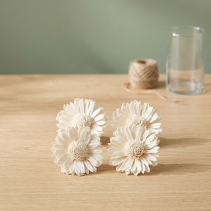Fleurs séchées cosmiques, chrysanthèmes blancs biologiques, décorations éternelles écologiques pour l'intérieur/l'extérieur, pour mariage, salon - Product Image 1