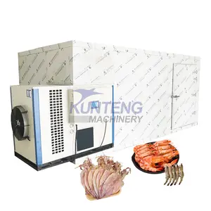 Industrial cabinet dryer dried salted fish drying machine commercial fish dryer machine