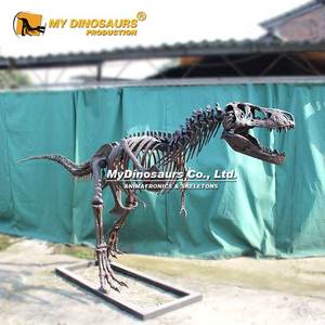 โครงกระดูกไดโนเสาร์ DS-102ได้รับความนิยมมากที่สุดของฉัน T-Rex สำหรับ <span class=keywords><strong>dinopark</strong></span>