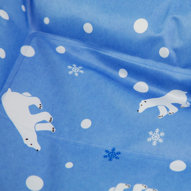 หมีขั้วโลก