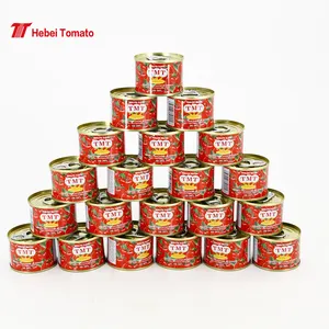 トマトペーストメーカーハラルトマトペースト70 G缶詰トマトペースト