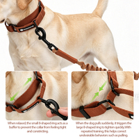 Ensemble de laisse modulaire 5-en-1 avec logo personnalisé, laisse élastique pour chien, crochet pivotant à 360°, collier martingale, ensemble robuste pour la marche et la course