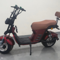 Venta al por Mayor de Fábrica - Motocicleta Eléctrica de 1000W/1500W, Impermeable, Personalizable, con Freno de Disco y Pedal de Correa, la Más Vendida