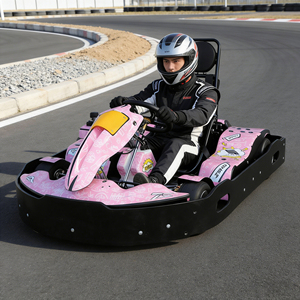 Kart à essence certifié TSKART CE pour adultes et adolescents, 200cc, kart commercial à essence pour parc d'attractions, centre familial - Product Image 1