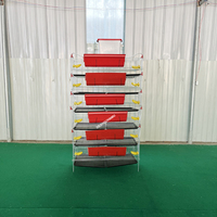 Cage à cailles de type H à 6 niveaux pour l'élevage et la production d'œufs - Vente directe usine