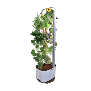 Cool Christmas Gifts for Every Personality in 2024