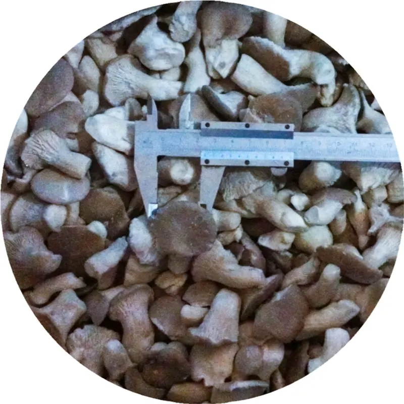 Nouvelle collection cropie artificielle de haute qualité, Iqf, poêle à boulettes en champignon glacé, coupe avec prix utilisé