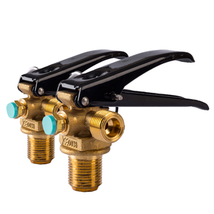 Cina Valvola <span class=keywords><strong>di</strong></span> FUHUA Fabbrica SiAN Marca Approvazione Del CE Valvola del Gas In Ottone Con <span class=keywords><strong>Dispositivo</strong></span> <span class=keywords><strong>di</strong></span> <span class=keywords><strong>Sicurezza</strong></span> Per Il Biossido <span class=keywords><strong>di</strong></span> Carbonio Fuoco <span class=keywords><strong>Estintore</strong></span> - Product Image 6