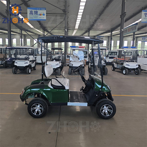Aangepaste Mini Groene 2-4seater Vrije Tijd Elektrische Golfkar Kan Worden Geïnstalleerd Met Golftas Houder/Zand Fles/Bal Wasmachine