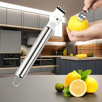 Râpe à citron en acier inoxydable avec couteau à cannelures, outil à éplucher les agrumes et les fruits