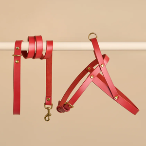 Arnés impermeable para perros Henshine, juego de correa para perros, diseñador ajustable, logotipo personalizado, arnés para perros recubierto de Pvc sin tirones para exteriores - Product Image 2