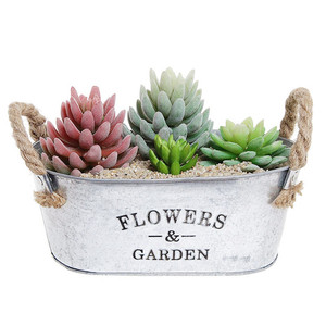 Commercio all'ingrosso creativo vasi da fiori Design piccolo metallo piante succulente vaso di fiori <span class=keywords><strong>in</strong></span> <span class=keywords><strong>ferro</strong></span> porta secchi - Product Image 4