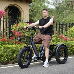 <span class=keywords><strong>Triciclo</strong></span> Eléctrico Inteligente de Alta Potencia 750W con Neumáticos Anchos para Adultos, Batería de Litio 48V, 3 Ruedas, Bicicleta Eléctrica de Carga, <span class=keywords><strong>Triciclo</strong></span> de Movilidad, Fabricante OEM - Product Image 5