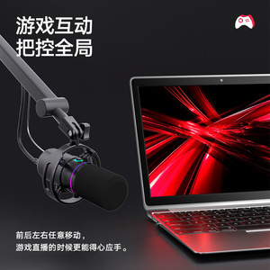 192KHZ24Bit <span class=keywords><strong>microfono</strong></span> dinamico RGB luce led PC <span class=keywords><strong>microfono</strong></span> con braccio braccio Stand RGB illuminazione Mute pulsante <span class=keywords><strong>cuffie</strong></span> <span class=keywords><strong>Jack</strong></span> misura per Vlog - Product Image 3