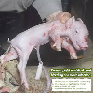 Piglet tali pusar sekali pakai, instrumen dokter hewan penjepit umbilikal putih untuk peralatan pertanian melahirkan hewan - Product Image 5