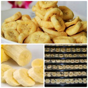 Bananes séchées biologiques saines, marque privée OEM, vente en gros de fruits délicieux en vrac, qualité A pour l'exportation - WA 0084909270406 - Product Image 1