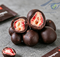 OEM & Lage MOQ Gedroogde Aardbeien Chocoladechips, Fruitchips met Donkere Chocolade Coating