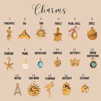 DIY bangun kustom Anda sendiri jimat gelang pilih pesona Anda kustom gaya antik Chunky kalung Multi pesona rantai kalung