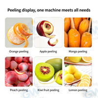 Machine à éplucher les fruits automatique en acier inoxydable, modèle de table, pour pommes, poires, mandarines, oranges, et presse-agrumes commercial