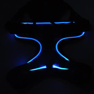 เสื้อกั๊กสุนัข RGB สะท้อนแสงชนิด C ผ้าไนล่อนปรับได้อุปกรณ์สุนัขไฟ LED ความปลอดภัยกลางแจ้งแบบชาร์จไฟได้ดีไซน์ใหม่ - Product Image 4