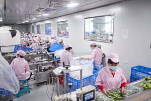 Maschere per Occhi al Collagene di Caviale Personalizzate ODM OEM, Antirughe, Idratanti, Migliorano le Occhiaie, Cura degli Occhi - Product Image 5