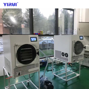 安全高效的自动化冷冻干燥区域0.4平方米TST-LG-03真空冷冻干燥机 - Product Image 5