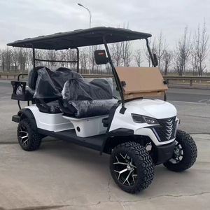 Carrito de Golf Eléctrico de 6 Plazas, Color Blanco, con Control Remoto, Personalizado, con Autonomía de 90 km y Cargador Inteligente - Product Image 4